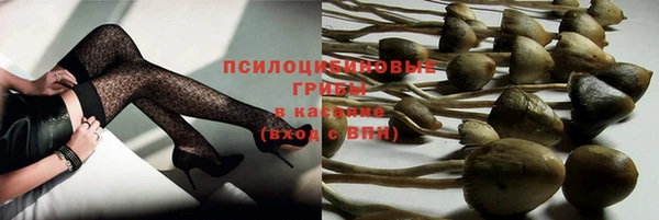 гашиш Новозыбков