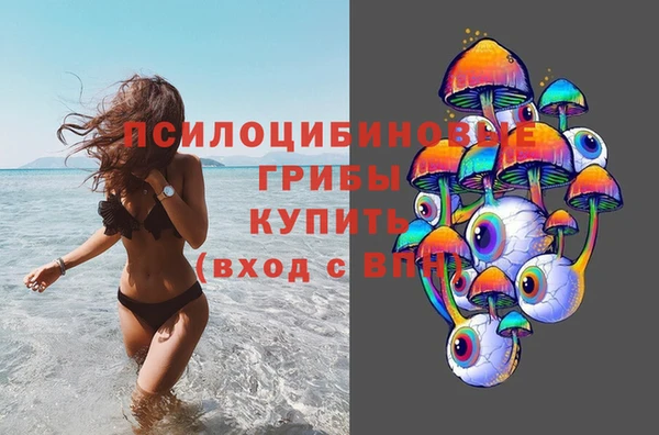 гашиш Новозыбков