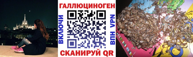 Галлюциногенные грибы Psilocybine cubensis  Зерноград 