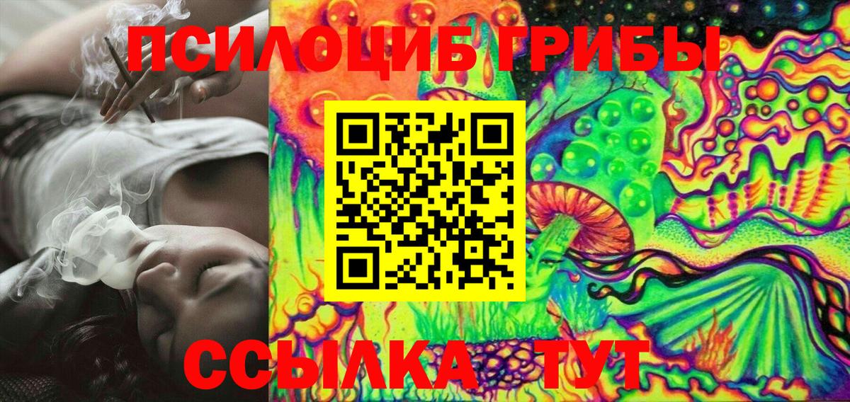 Галлюциногенные грибы Cubensis  купить наркотик  Зерноград  Вход с VPN 