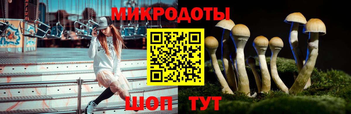 Галлюциногенные грибы MAGIC MUSHROOMS  наркотики  Зерноград 