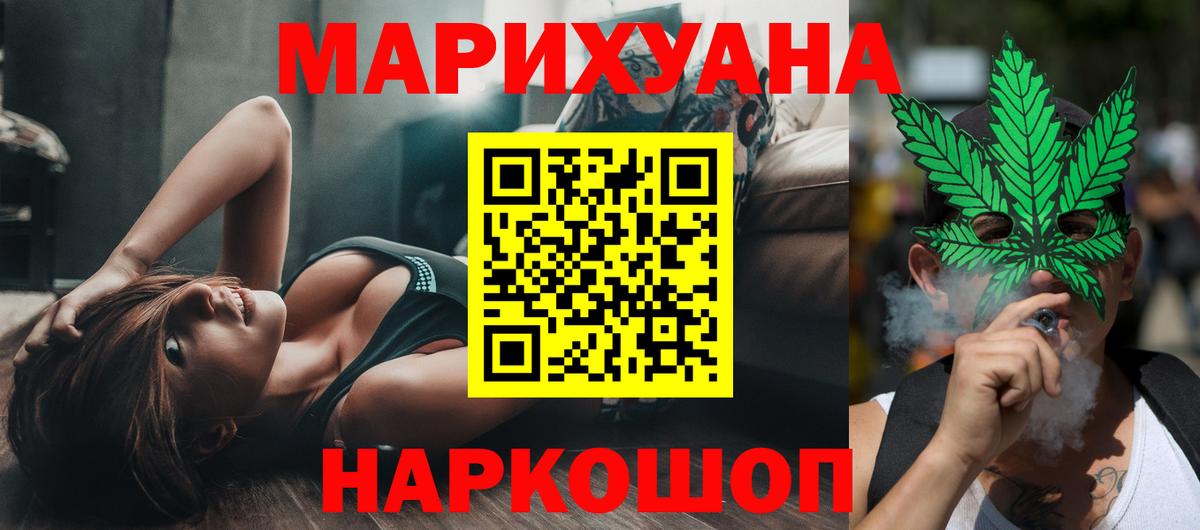 Конопля гибрид Зерноград